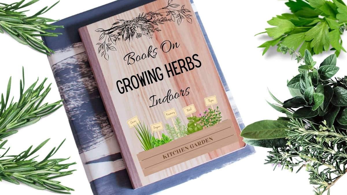 Books On Growing Herbs Indoors