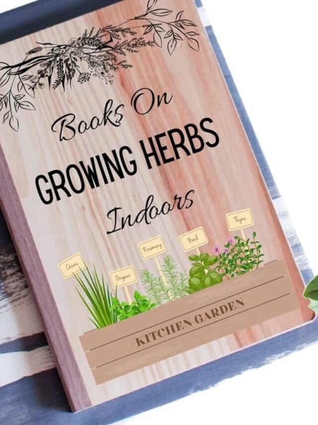 5 Bestselling Books To Help You Grow Herbs Indoors