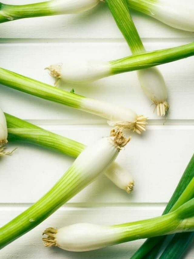 3 Easy Methods To Grow Your Own Bunching Onions Indoors